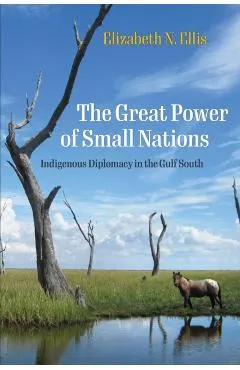 The Great Power of Small Nations: Indigenous Diplomacy in the Gulf South