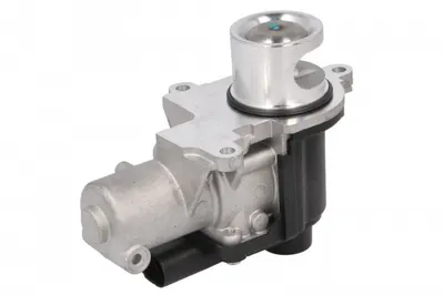 Supapa Egr Potrivit Audi A8 D3, A8 D4, Q7; Porsche Cayenne; Vw Touareg 4.2d 01.05