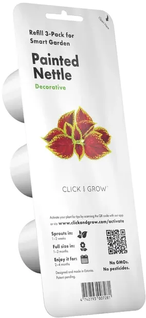 Semințe Click and Grow - Painted Nettle, 3 rezerve