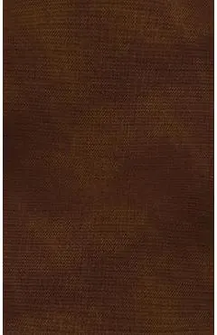 Niv, Thinline Bible, Passaggio Setting, Leathersoft, Brown, Red Letter, Comfort Print: Elegantly Uniting Single and Double Columns Into One Passaggio