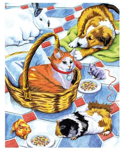 Set de desen cu creioane colorate Royal - Animale de companie, 22 x 30 cm