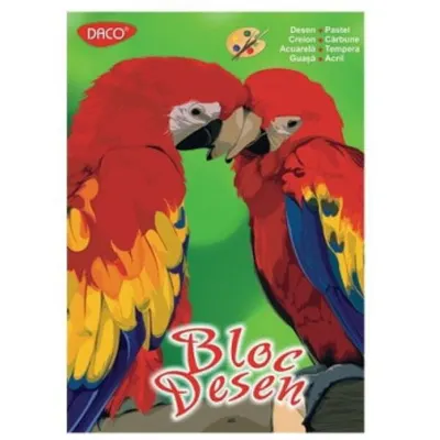 Bloc Desen Daco A4 170g, 16 File - BD417