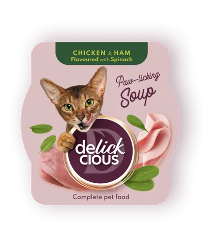 Delickcious Pisica Plic Supa Pui Cu Sunca Si Spanac 80 g