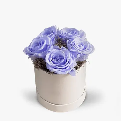 Cutie cu 5 trandafiri lavanda criogenati