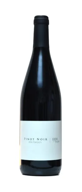 Vin Rosu Pinot Noir 1000 De Chipuri 0.75l