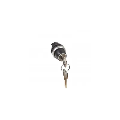 Osmoz non illuminated key selector switch - 2 stay-put positions (0-12h) 45°