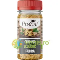 Ghimbir Pudra Ecologic/Bio 35g