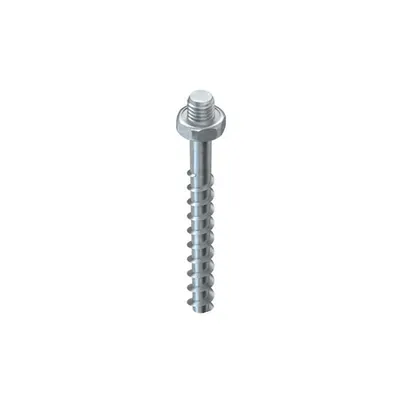 Ancora cu surub Nr. aprobare: ETA 15/0784, cu cap hexagonal si filet de conectare metric M6 NSA 6X55/SW10-M6 V