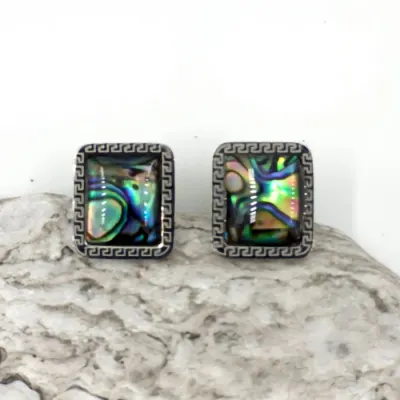 Cercei eleganti din otel inoxidabil cu paua shell multicolor