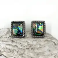 Cercei eleganti din otel inoxidabil cu paua shell multicolor