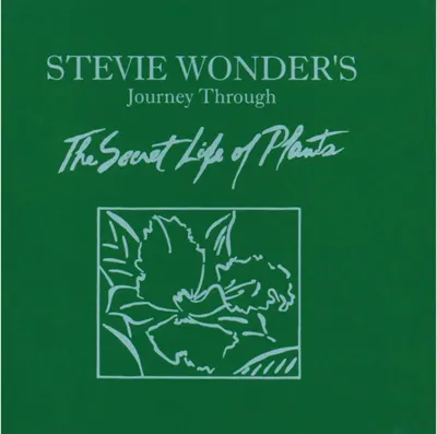 Journey Through The Secret Life Of Plants