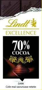 Lindt Excellence 70% cacao - Hardcover - Larousse