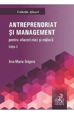 Antreprenoriat si management pentru afaceri mici si mijlocii Ed.3