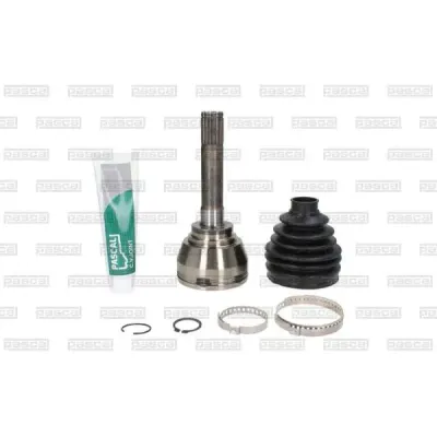 Set articulatie, planetara PASCAL G19008PC