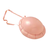 Burta sau cocoasa gonflabila