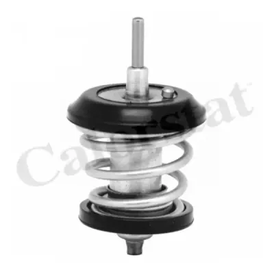 Termostat, lichid racire CALORSTAT by Vernet TH7188.95J