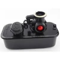 Rezervor si carburator motor Briggs-Stratton, Model 494406, 498809