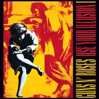 Use Your Illusion I - Vinyl