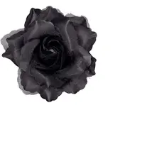 Clama trandafir negru