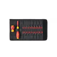 Surubelnita and bit set slimVario® Surubelnita