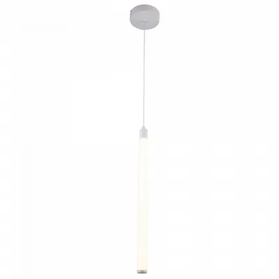 Corp de iluminat suspendat RaynP021PL-L10W