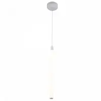 Corp de iluminat suspendat RaynP021PL-L10W