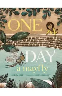 One Day a Mayfly