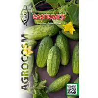 Seminte Castraveti Everest F1, Agrocosm