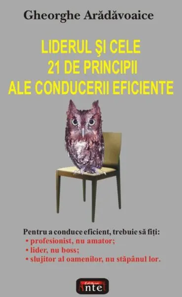 Liderul şi cele 21 de principii ale conducerii eficiente - Paperback brosat - Gheorghe Arădăvoaice
