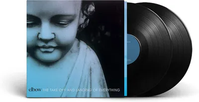 The Take Off And Landing Of Everything - Vinyl
