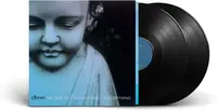 The Take Off And Landing Of Everything - Vinyl