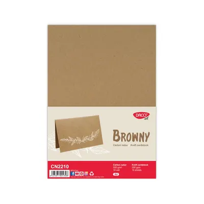 Carton natur A4, 220g/mp, 10coli/set, Daco
