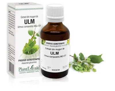 Extract muguri de ulm x 50 ml (PLX)