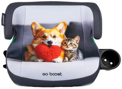 Scaun auto Chipolino - Go Boost, 125-150 cm, corgi