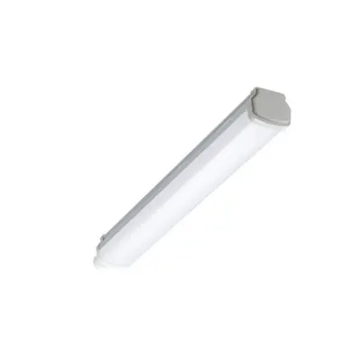 Corp de iluminat, etans, Philips, Ledinaire, 600mm, 1800lm, 4000K, IP66