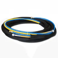 Kit furtunuri AirCoat Wagner DN3-PN270-1/4″NPS-7.5 m