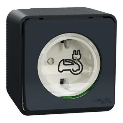 Mureva IP55, Priza pentru incarcarea vehiculelor electrice, 2P+E, montaj aparent, cu obturatoare, gri