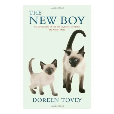 The New Boy