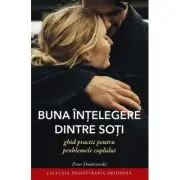 Buna intelegere dintre soti. Ghid practic pentru problemele cuplului