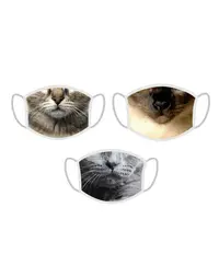 FERA Masti faciale de protectie x3 rase pisici