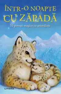 Într-o noapte cu zăpadă - Paperback brosat - Ana Dragomirescu