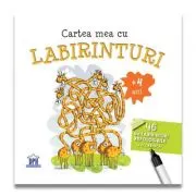 Cartea mea cu labirinturi (+ 4 ani) - 46 de labirinturi refolosibile + o carioca