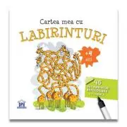 Cartea mea cu labirinturi (+ 4 ani) - 46 de labirinturi refolosibile + o carioca
