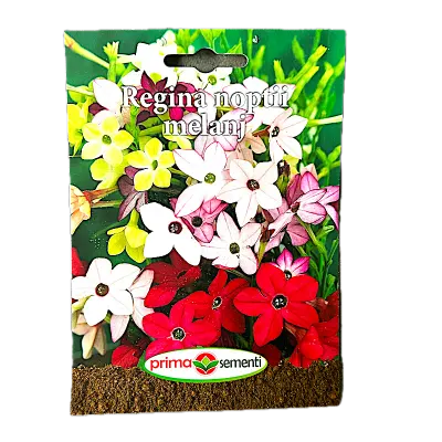 Seminte flori Regina Noptii melanj 0.5 gr, Prima Sementi - Default Title