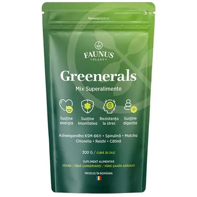 Greenerals Pudra Superaliment pentru Energie si Vitalitate 300g