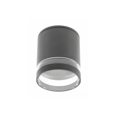 Spot - Ceiling luminaire RIVEN, alum, 102×120, IP54, MAX.35W, round, graphite