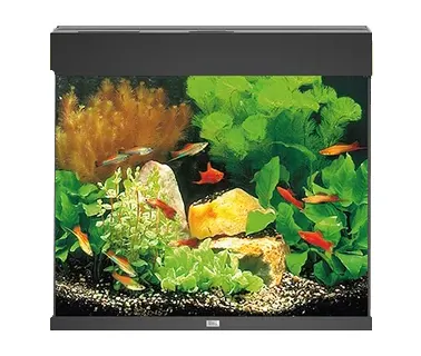 Juwel Acvariu Led Lido 200 Negru