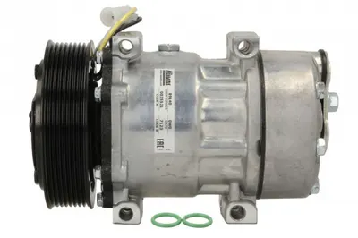 Compresor climatizare potrivit RVI potrivit RVI MAGNUM 10.04