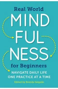 Real World Mindfulness for Beginners: Navigate Daily Life One Practice at a Time