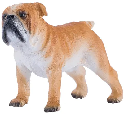 Figurină Mojo Animal Planet -Bulldog englez
